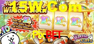 Premium Interface Pixbet
